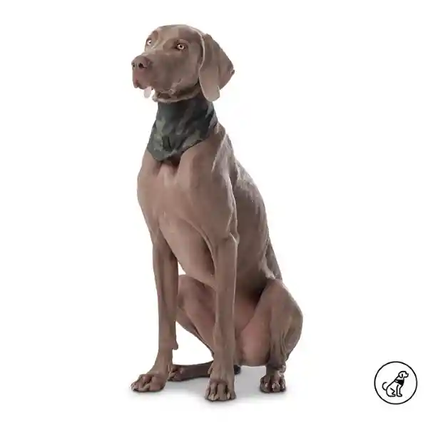 Pañuelo Menta Doble Faz 2.0 Verde Talla L 3DL Totto