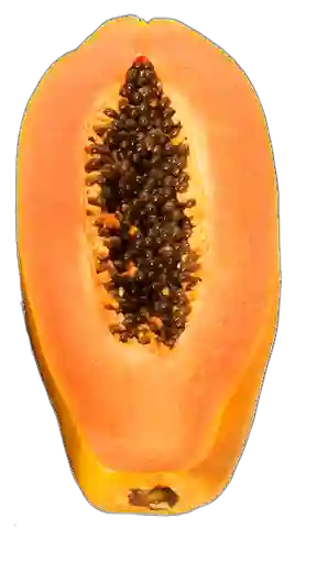 Papaya Larga Redonda Selecta