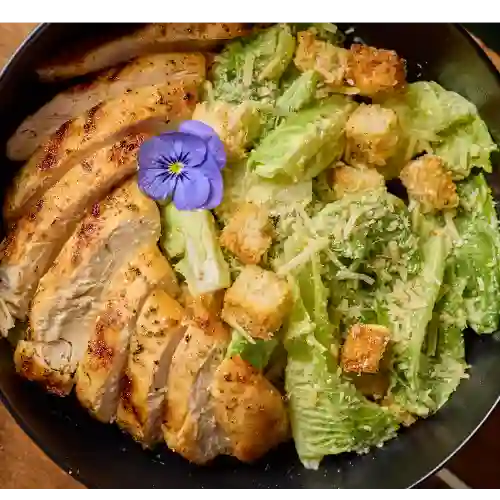 Ensalada Cesar con Pollo