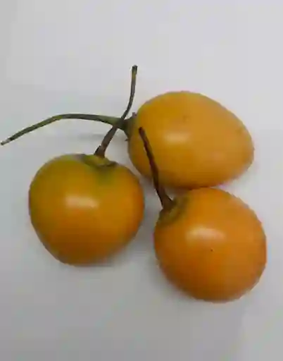 Tomate de Árbol Amarillo