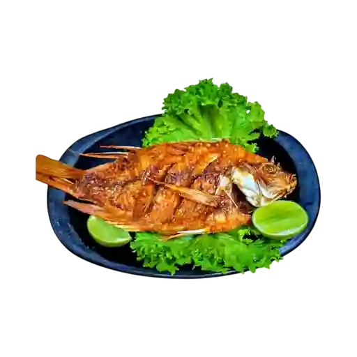 Mojarra Roja Frita