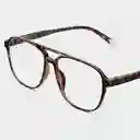 Barner Gafas Reading Brad Carey + 1.50