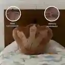 Almohada Forma de Garra Serie Jurassic World 16In Miniso