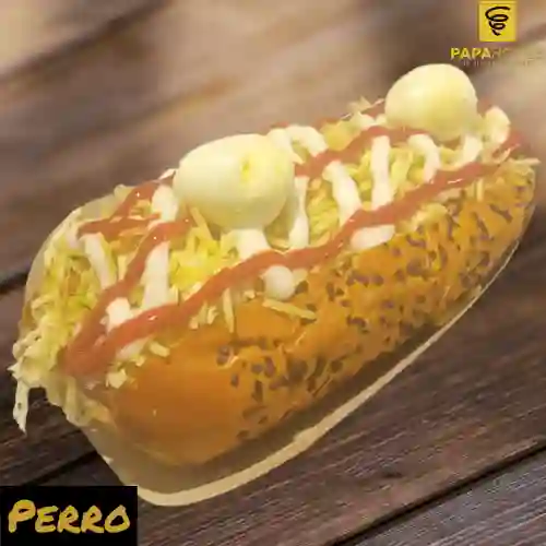 Perro de la Casa