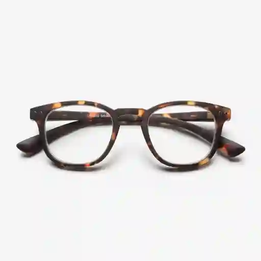 B+D Gafas Reading Dot Carey + 1.50