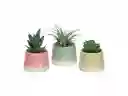 Maceta Cactus Dúo Celeste Casaideas