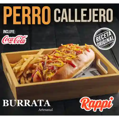 Perro Callejero con Coca Cola Promo