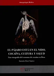 El Pájaro Está en el Nido Cocaína Cultura y Salud