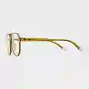 Barner Gafas Reading Brad Olv + 1.00