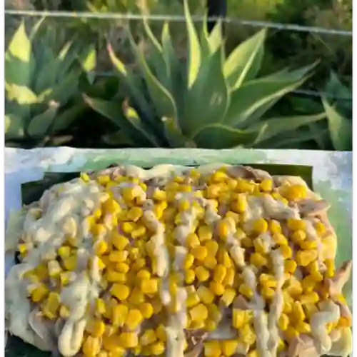 Pátano Vegetariano