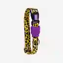 Zee.Dog Collar Para Perro Honey XS