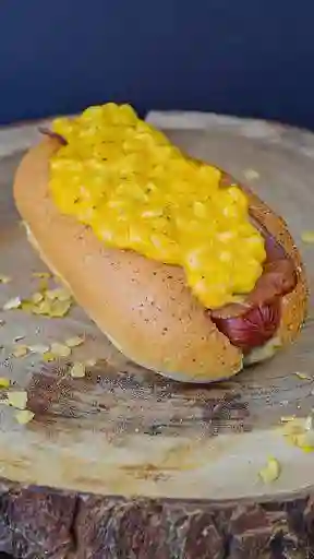 Combo Perro Bj Amstrong