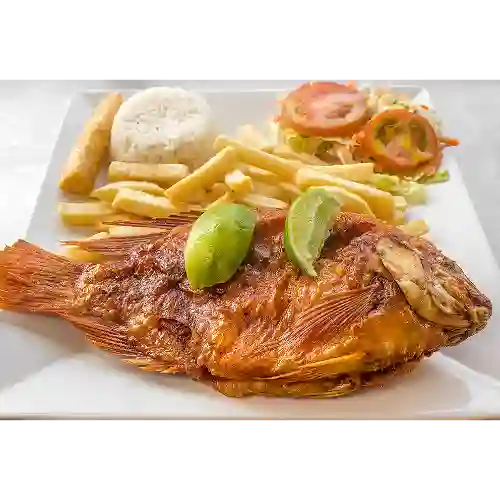 Mojarra