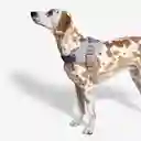 Zee.dog - Acg Flyharness