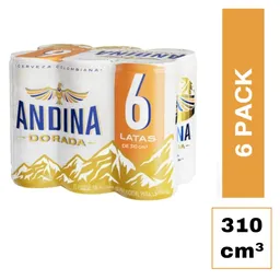 Cerveza Andina six pack