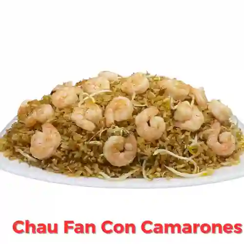 Chau Fan con Camarón