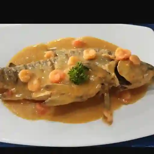 Bocachico en Salsa de Camarones