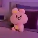 Peluche Baby Cooky Serie 10 in Bt21 Miniso