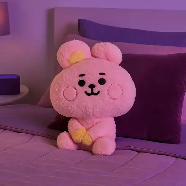 Peluche Baby Cooky Serie 10 in Bt21 Miniso