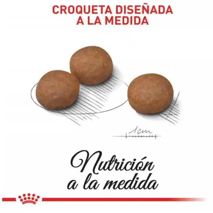 Royal Canin Cuidado Nutrición Medio Digestivo Bolsa