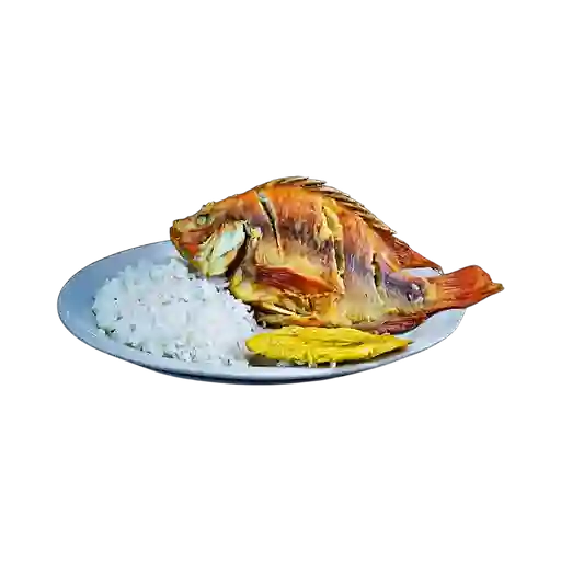 Bandeja con Mojarra