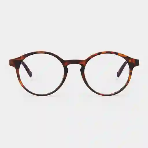 Barner Gafas Reading Marais Carey + 2.50