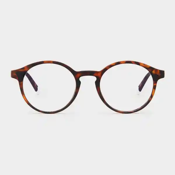 Barner Gafas Reading Marais Carey + 2.50