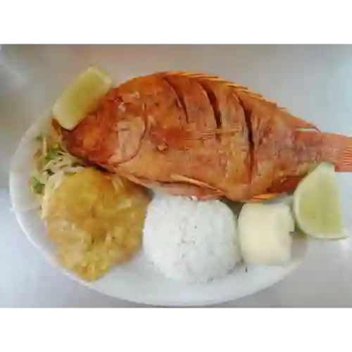 Mojarra Frita