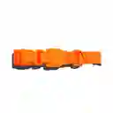 Zeedog Collar Para Perro Neopro Tangerine Talla L