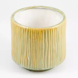 Expressions Matera Natural Grass 61409