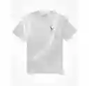 Camiseta Hombre Color Gris T. X-SMALL American Eagle