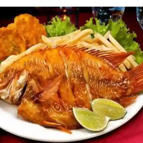 Mojarra