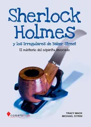 Sherlock Holmes y Los Irregulares de Baker Street el Misterio
