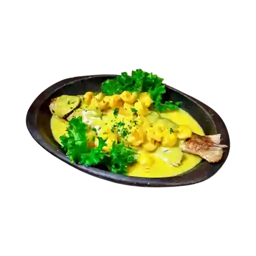 Bocachico en Salsa de Camarones