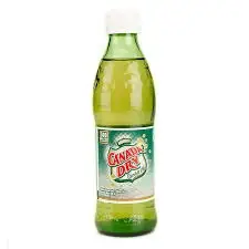 Canada Dry Ginger Ale 400 ml