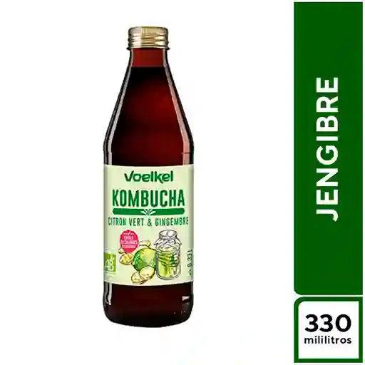 Kombucha Dar Jengibre 330 ml