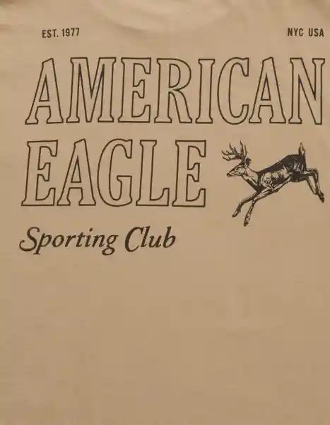 Camiseta Hombre Beige Talla SMALL 4873212 American Eagle