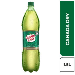 2 x Canada Dry Ginger Ale