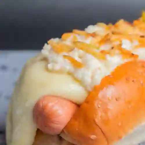 Perro con Queso