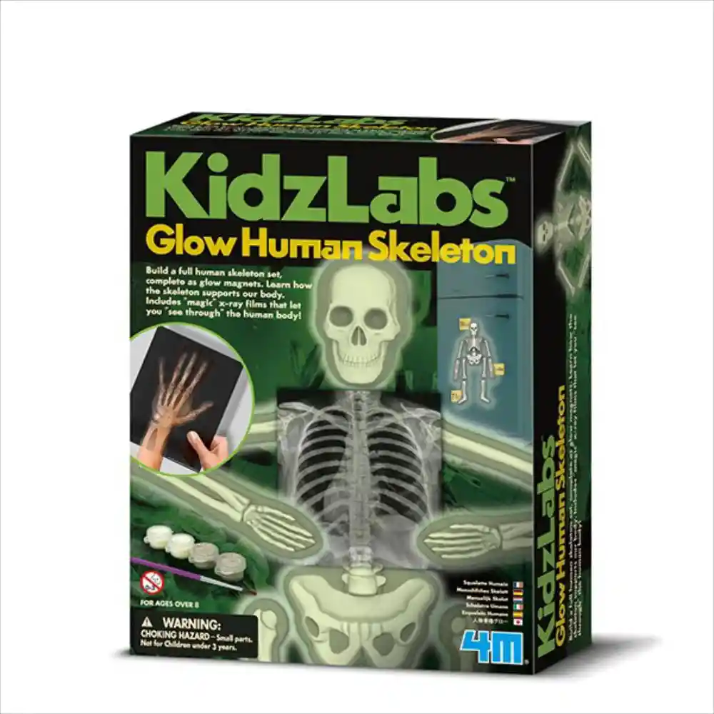 Kidzlabs Glow Human Skeleton - Equipo Editorial