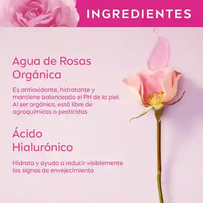 Nivea Gel Crema Hidratante Facial con Agua de Rosas 
