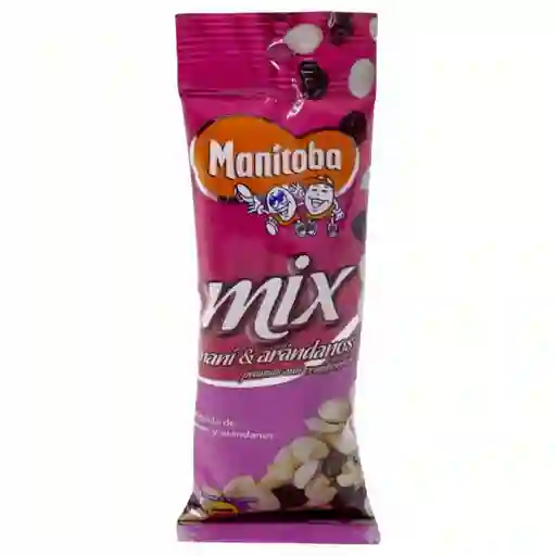 Manitoba Mix de Mani y Arándanos