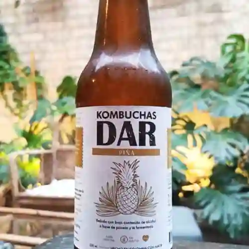 Kombucha Dar