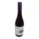 Cono Sur Vino Pinot Noir