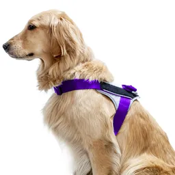 Felcan Arnés Para Perro Mini Trabajador Gris Claro y Morado S