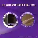 Palette Tinte Intensive Color Creme Castaño Oscuro 3-0 100 mL