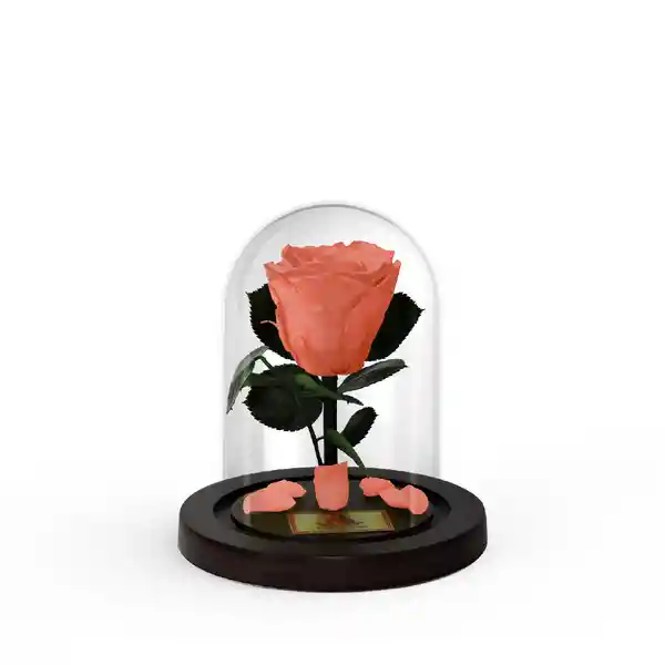 Rosa Preservada Salmón Mini