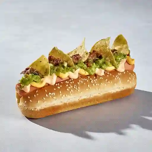 Perro Mexicano Urbano
