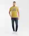 Camiseta Duck Graphic Masculino Verde Talla L Chevignon