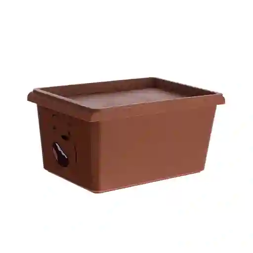 Caja de Almacenamiento Con Tapa Oso Pardo 5.0 Miniso